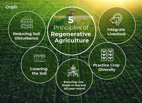  《Regenerative Agriculture: Principles & Practices》 - 探索永續農業的精華與實踐